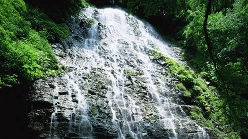 无人化数字化高端